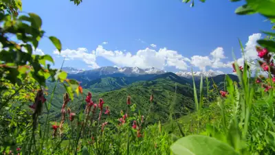 сезоны-года.рф, фото - Новости Zakon.kz от 01.08.2020 22:01