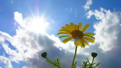 Хабар 24, фото - Новости Zakon.kz от 05.06.2018 09:25