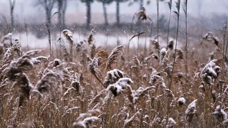На  западе и севере Казахстана похолодает 10 марта