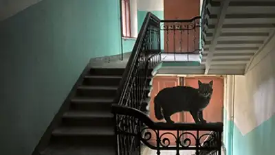 Zakon.kz, фото - Новости Zakon.kz от 30.07.2015 15:47