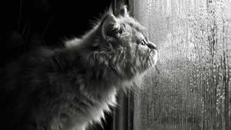 На вторник объявили штормовое предупреждение