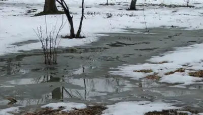 nedeliya.lt, фото - Новости Zakon.kz от 10.03.2019 09:47