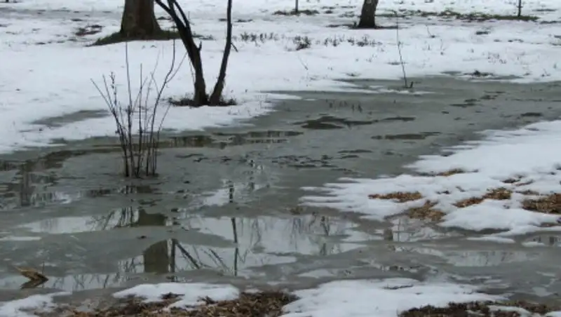 Метель и дождь. Погода в Казахстане 10 марта