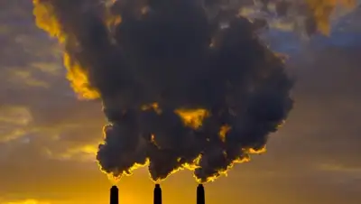 Zakon.kz, фото - Новости Zakon.kz от 10.12.2015 19:54