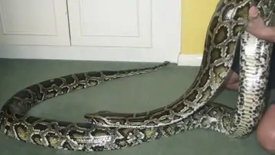 Zakon.kz, фото - Новости Zakon.kz от 05.09.2017 20:21