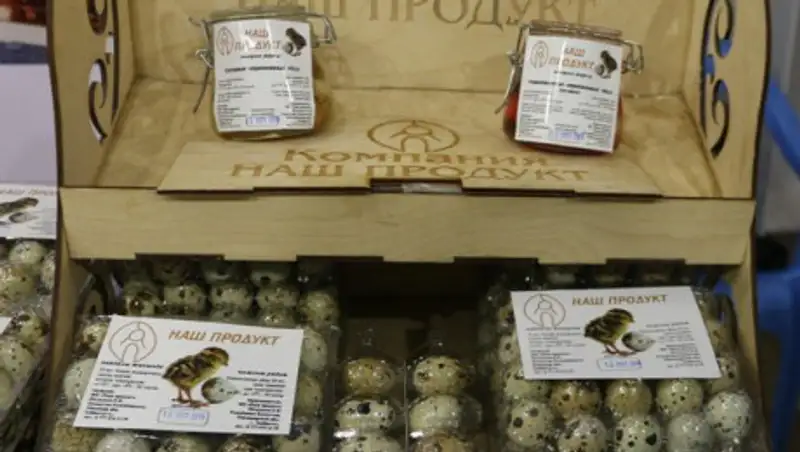 Грант для бизнеса: с чего начать свое дело?