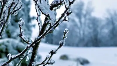 Zakon.kz, фото - Новости Zakon.kz от 08.01.2017 12:05