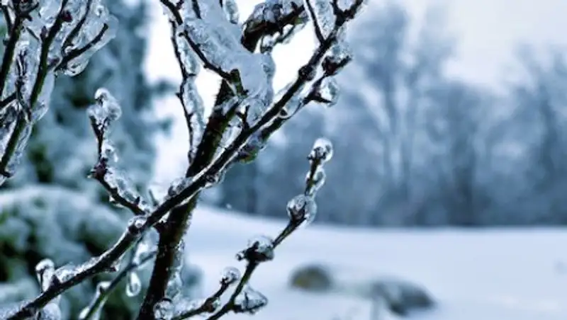 Без осадков будет в воскресенье в Казахстане