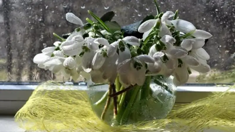 Казахстанцев ждет дождливая суббота