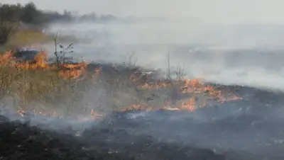 Zakon.kz, фото - Новости Zakon.kz от 05.10.2015 16:42