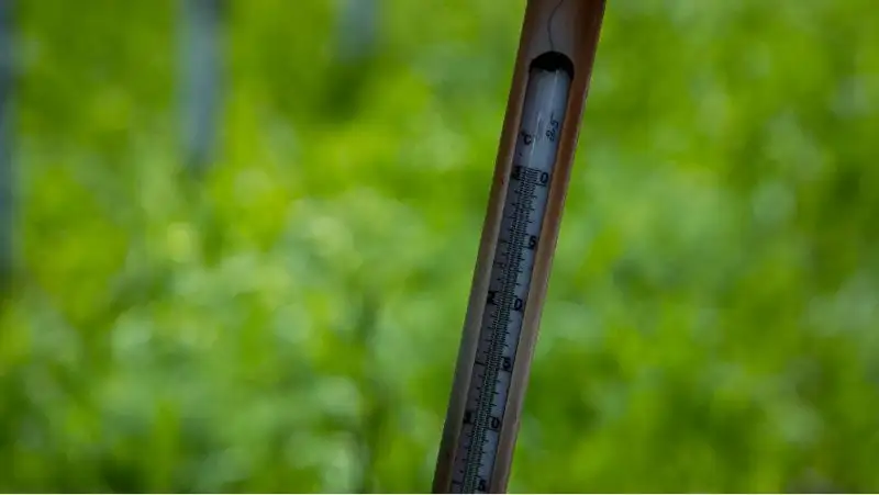 вытяжной почвенно-глубинный термометр, фото - Новости Zakon.kz от 02.06.2022 11:42