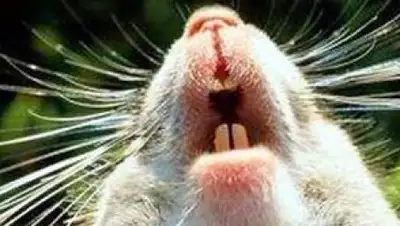 Zakon.kz, фото - Новости Zakon.kz от 22.08.2017 23:06