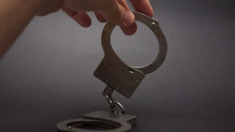 В столице задержали активистов ДВК