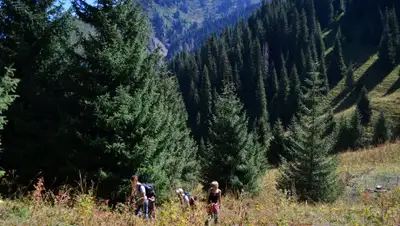 drive2.com, фото - Новости Zakon.kz от 15.07.2020 11:33