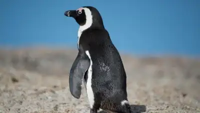 Zakon.kz, фото - Новости Zakon.kz от 23.06.2015 22:16