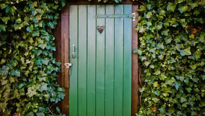 pixabay.com, фото - Новости Zakon.kz от 04.10.2019 20:19