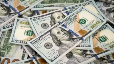 fleepik, фото - Новости Zakon.kz от 08.10.2020 11:18