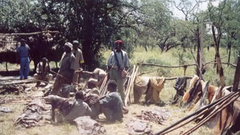 В Танзании уволили четырех министров за жестокое обращение с браконьерами