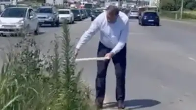 Президент Республики Сербской не дождавшись коммунальщиков сам покосил траву у обочины, фото - Новости Zakon.kz от 30.06.2023 02:15