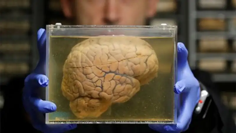 Названа неожиданная причина появления человека