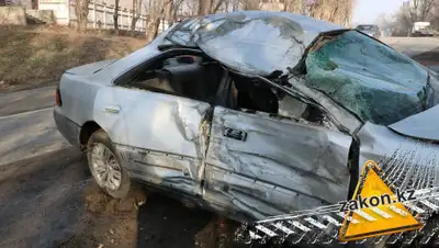 zakon.kz, фото - Новости Zakon.kz от 12.12.2019 14:46