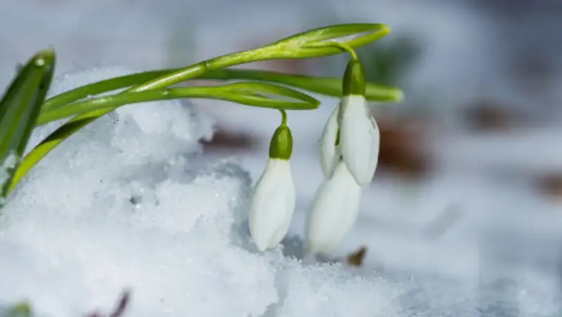 Морозные выходные будут в некоторых регионах Казахстана