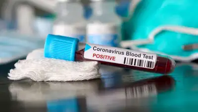 1prof.by, фото - Новости Zakon.kz от 19.06.2020 09:24