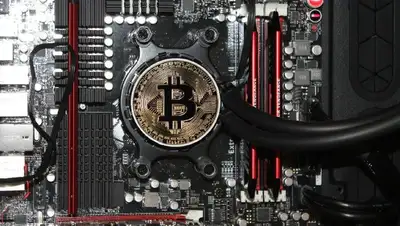 костанай, майнинговая ферма, афм, фото - Новости Zakon.kz от 28.02.2022 09:49