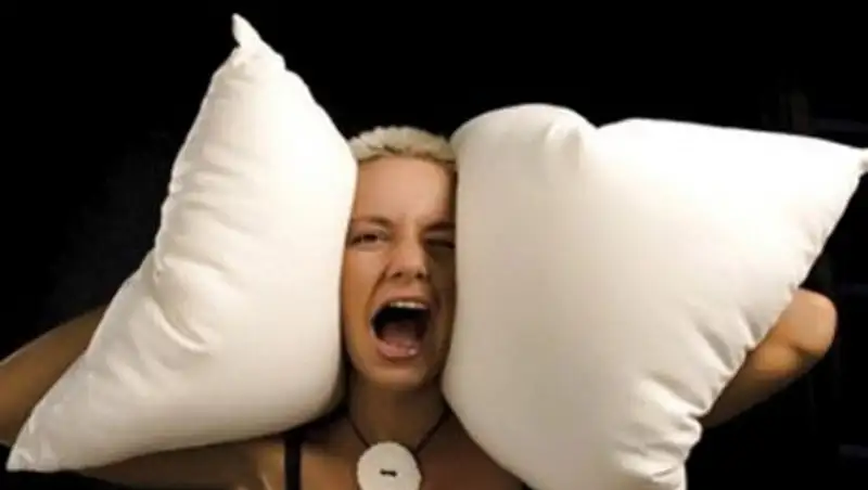 Общественников Семея, ведущих борьбу с ночной музыкой, обвиняют в помехах развитию бизнеса