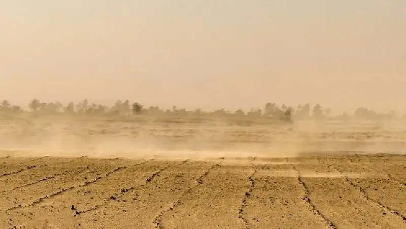 пыльная буря, пустыня, ветер, фото - Новости Zakon.kz от 19.08.2022 15:54