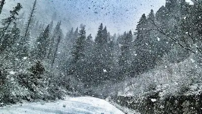 рк, сильные осадки, погода, 27 марта, прогноз, казгидромет, фото - Новости Zakon.kz от 26.03.2022 15:58