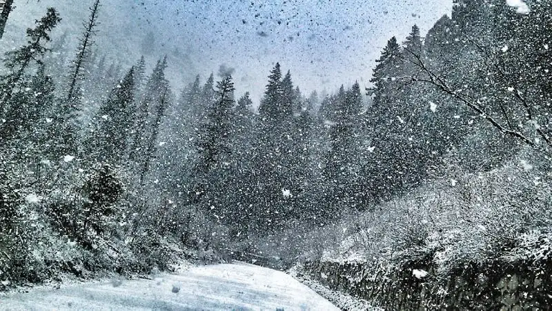 Сильные осадки, туман и гололед ожидаются в Казахстане 27 марта