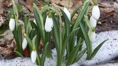 Zakon.kz, фото - Новости Zakon.kz от 28.03.2014 18:00