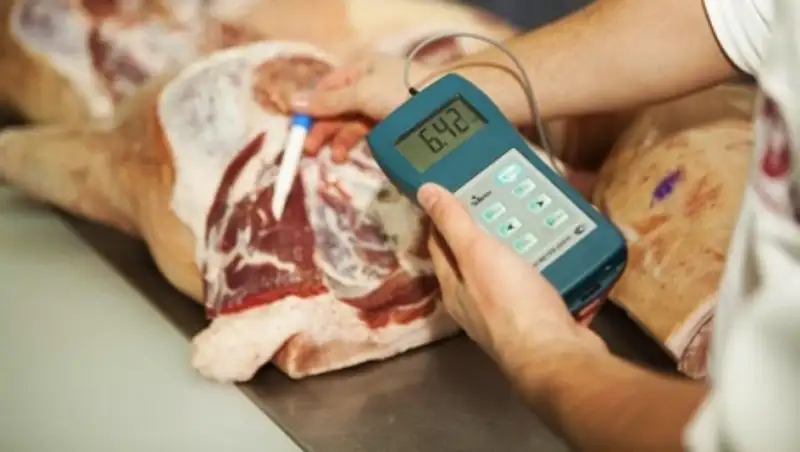 Утверждены правила изъятия продукции, не соответствующей требованиям техрегламентов