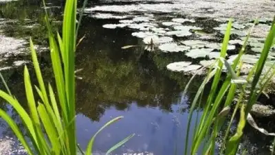 Zakon.kz, фото - Новости Zakon.kz от 03.09.2015 06:27