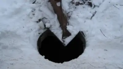 Zakon.kz, фото - Новости Zakon.kz от 08.02.2016 16:31