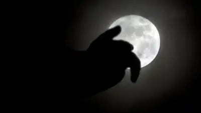 Zakon.kz, фото - Новости Zakon.kz от 15.11.2016 20:59