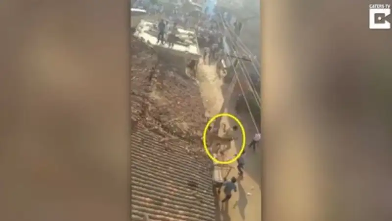 В Индии мужчина прыгнул с крыши, спасаясь от леопарда