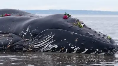 Zakon.kz, фото - Новости Zakon.kz от 01.12.2015 12:57