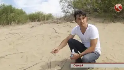 Zakon.kz, фото - Новости Zakon.kz от 21.08.2015 05:56