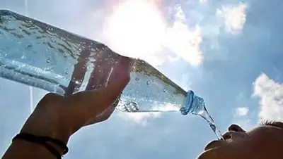 Zakon.kz, фото - Новости Zakon.kz от 17.05.2014 18:08