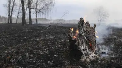 newizv.ru, фото - Новости Zakon.kz от 23.08.2019 14:15