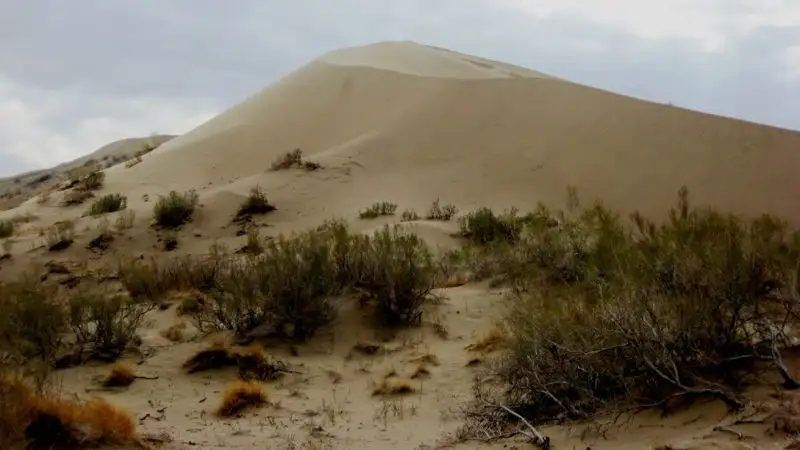 ТОП-10 туристических объектов Жетысуской области, фото - Новости Zakon.kz от 19.07.2023 12:14