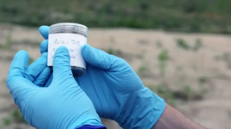 Япония планирует начать сброс воды с АЭС "Фукусима" в конце августа