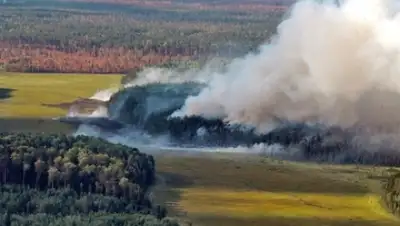 Zakon.kz, фото - Новости Zakon.kz от 17.04.2015 17:58