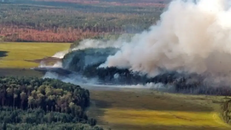 Площадь лесных пожаров в Сибири увеличилась на 10 тысяч гектаров за сутки