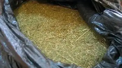 Zakon.kz, фото - Новости Zakon.kz от 01.06.2015 23:50