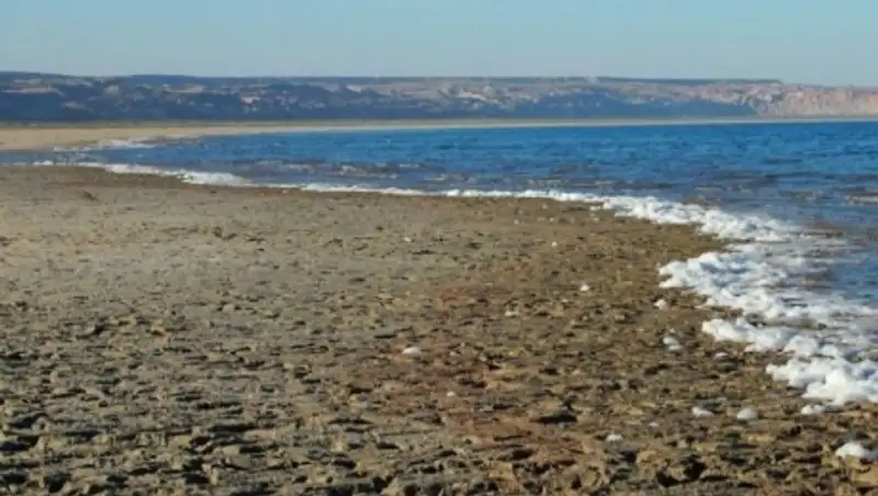 Пример катастрофы Арала - стимул для смены методов потребления воды в сельском хозяйстве