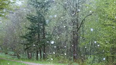 pixabay.com, фото - Новости Zakon.kz от 28.03.2021 16:13