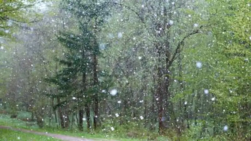 Сильные дожди и снег. Погода на 29 марта в Казахстане